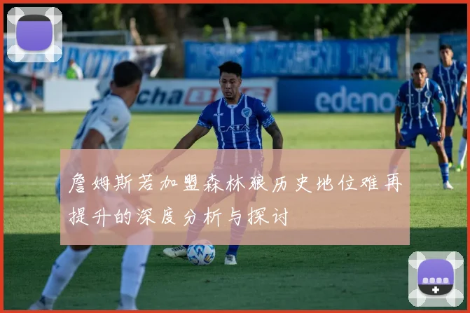 詹姆斯若加盟森林狼历史地位难再提升的深度分析与探讨